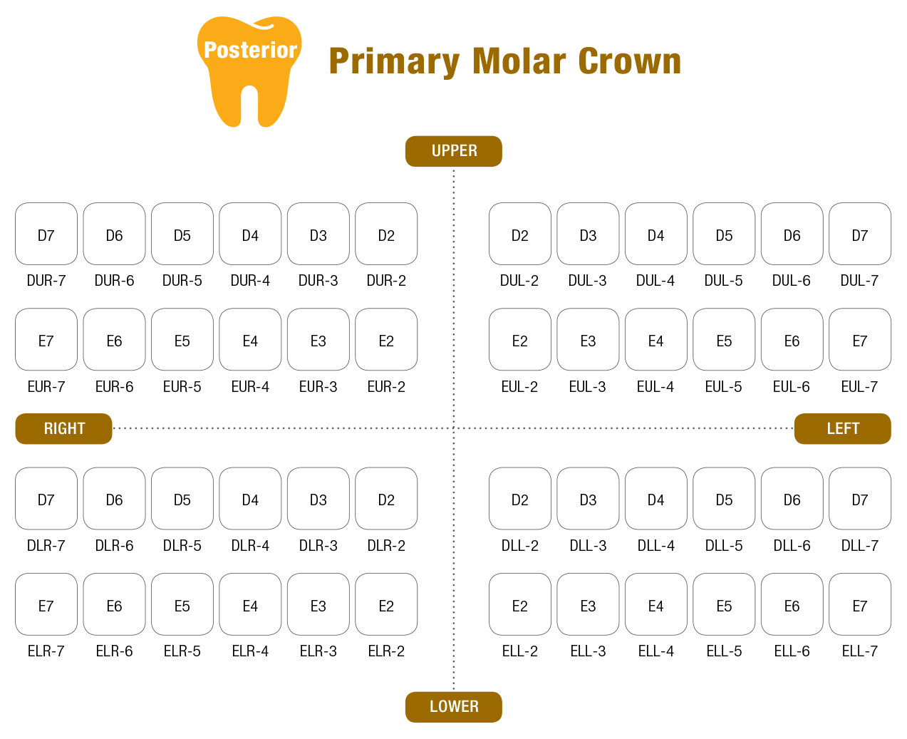 Коронки стальные I Crown для молочных зубов DLL-3 первый нижний левый набор 5 шт SEIL GLOBAL